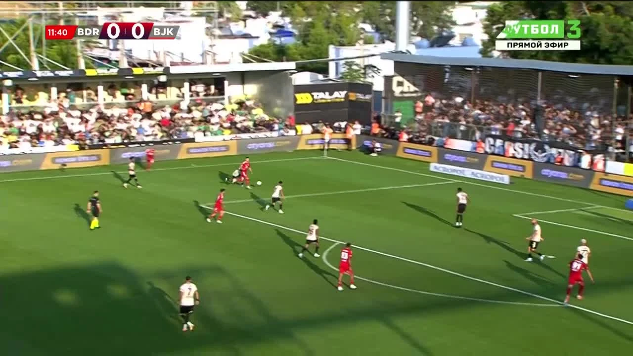 zaslepka skrotu video