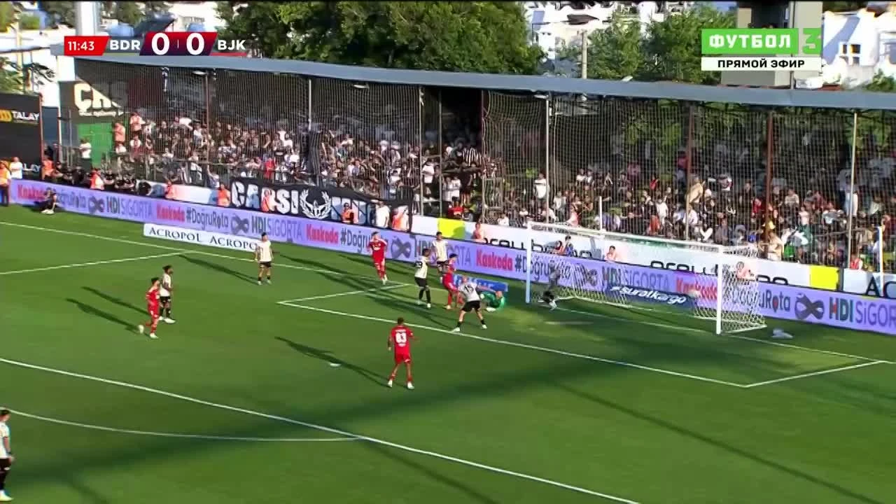 zaslepka skrotu video