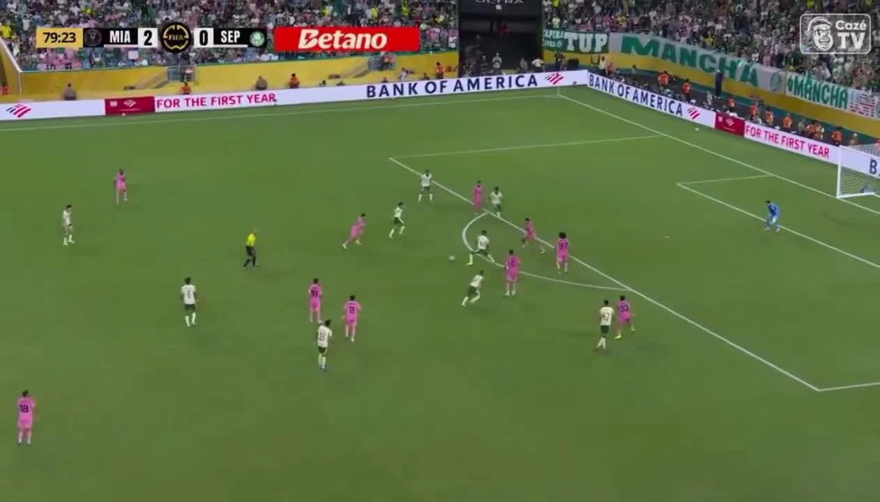zaslepka skrotu video