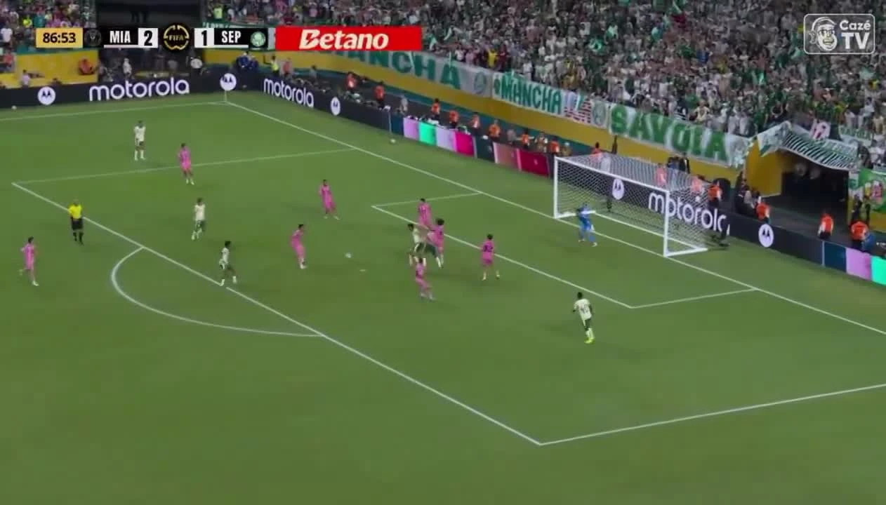 zaslepka skrotu video