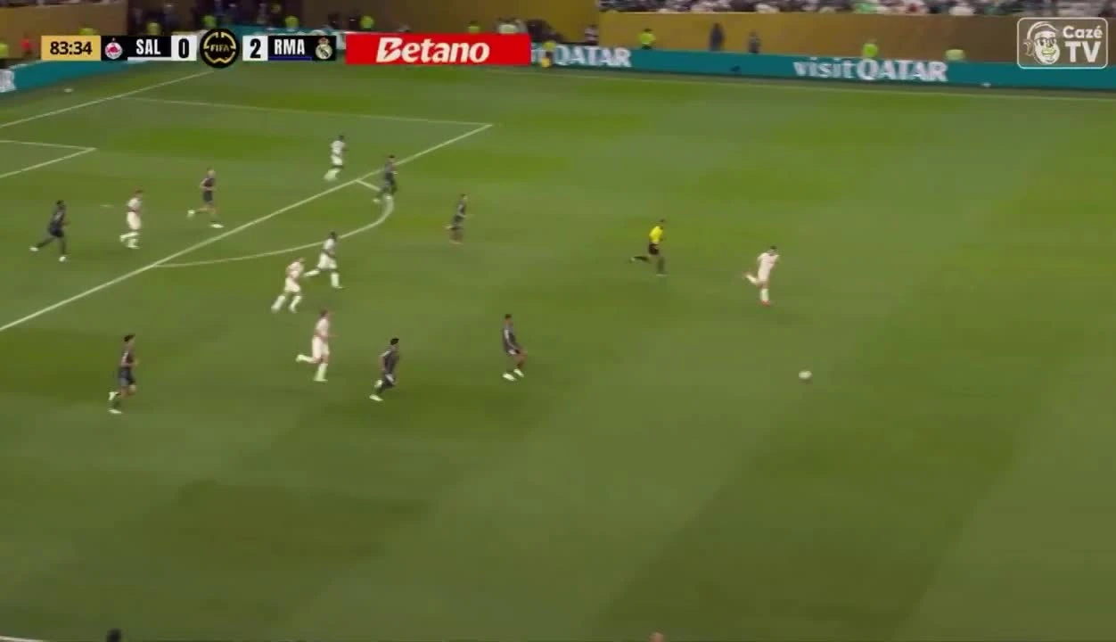 zaslepka skrotu video