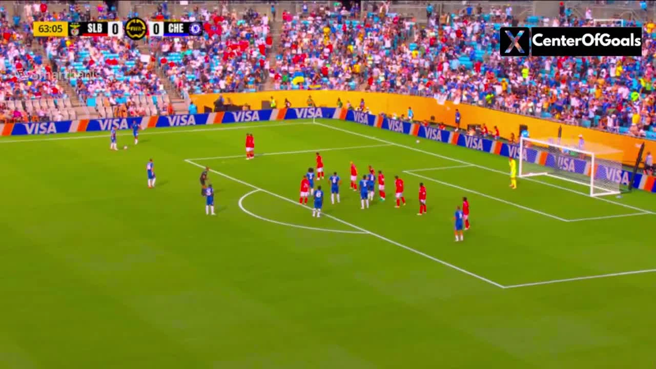 zaslepka skrotu video