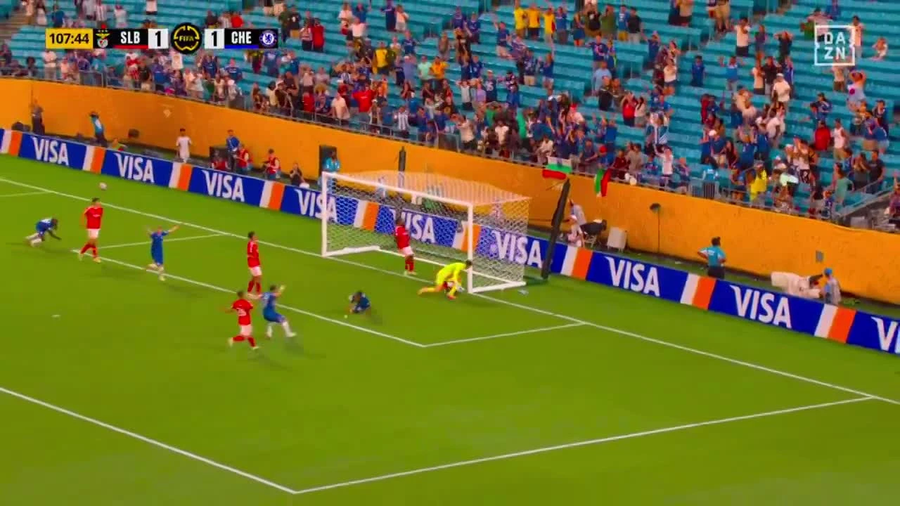 zaslepka skrotu video