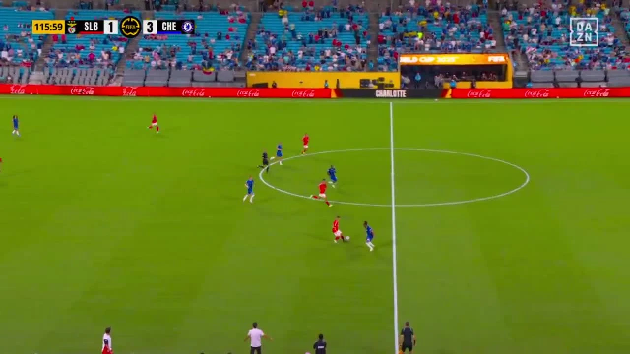 zaslepka skrotu video