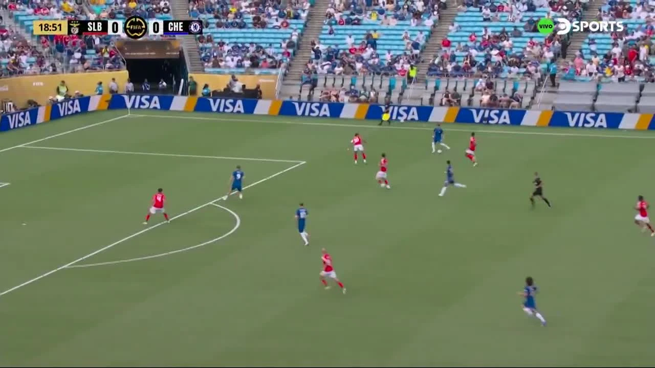 zaslepka skrotu video