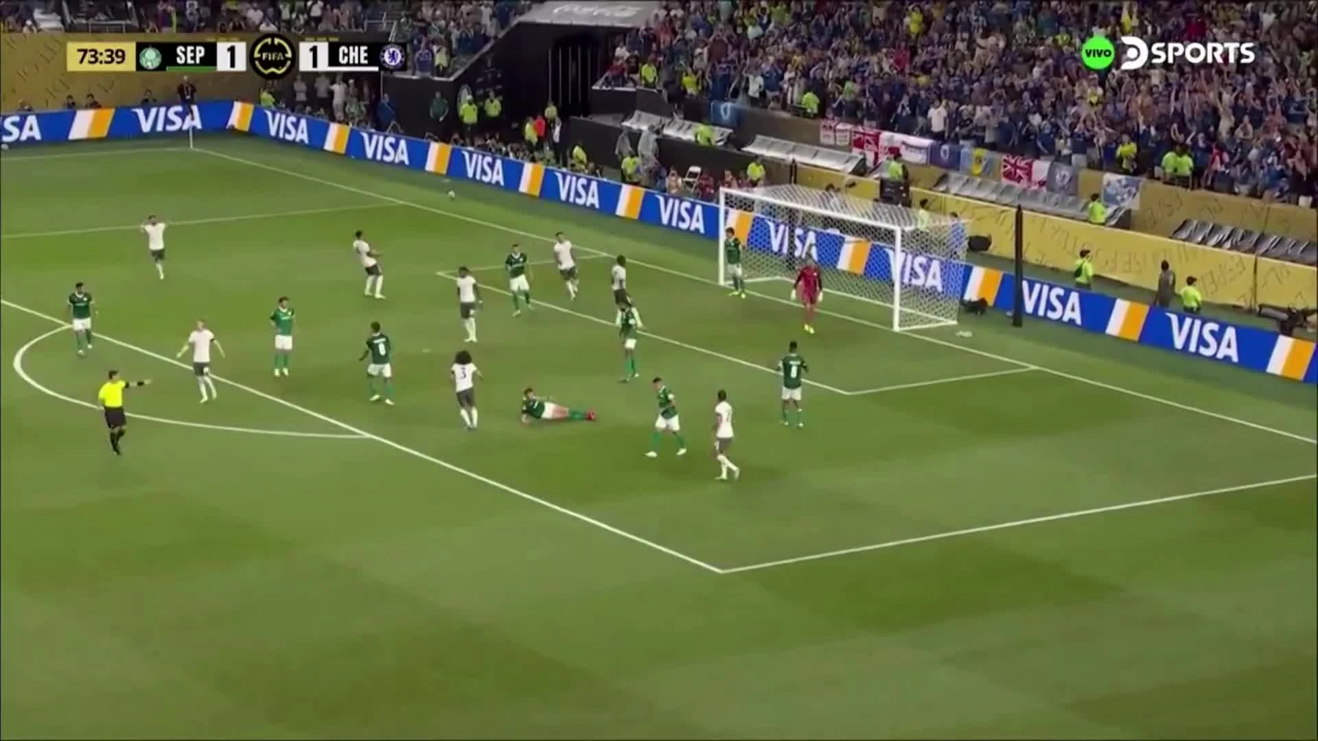 zaslepka skrotu video