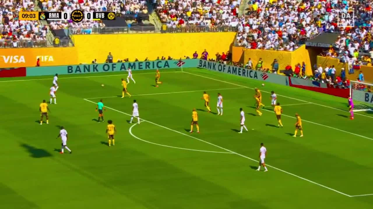 zaslepka skrotu video