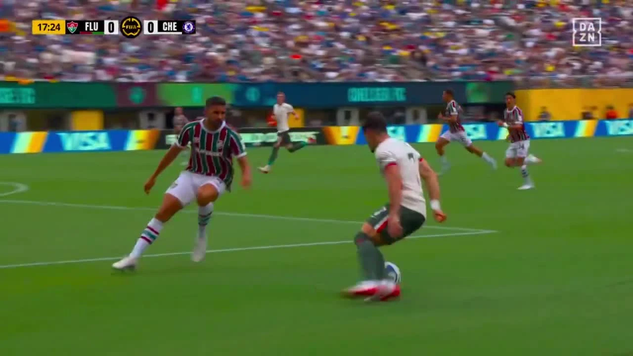 zaslepka skrotu video