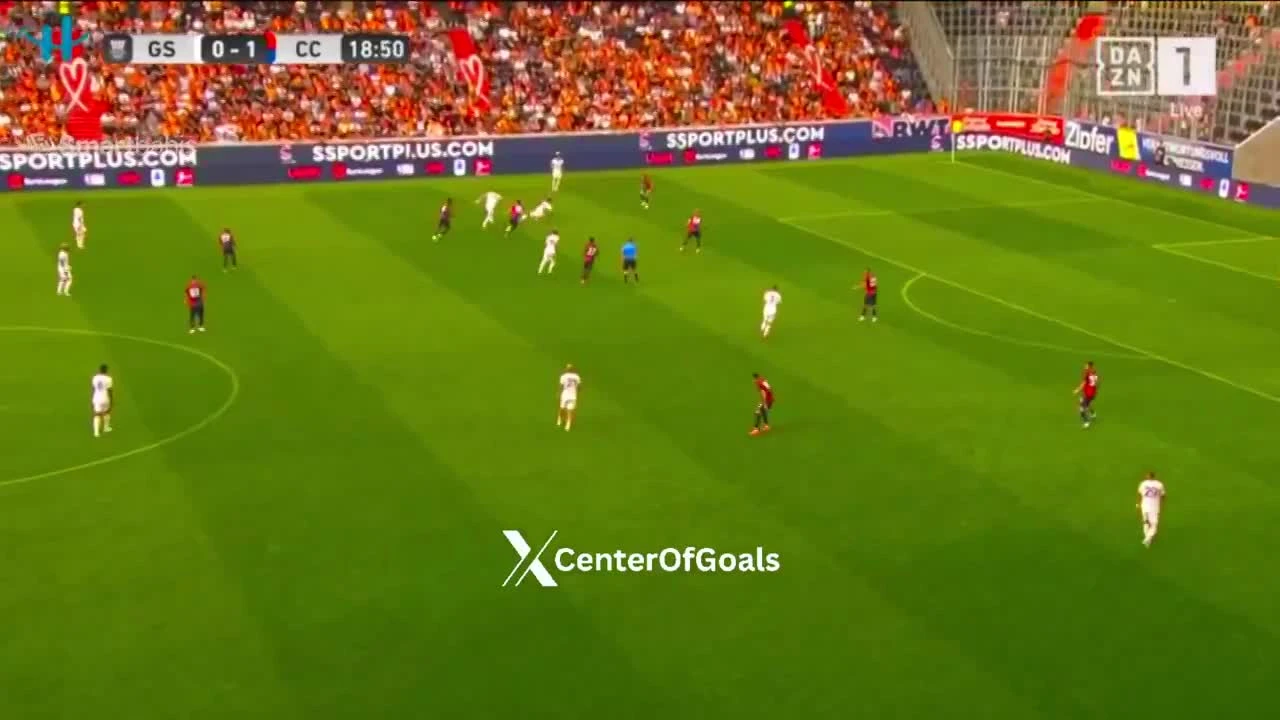 zaslepka skrotu video