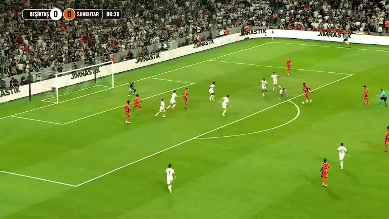 zaslepka skrotu video