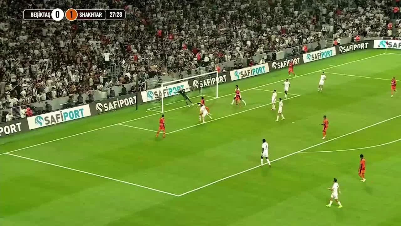 zaslepka skrotu video