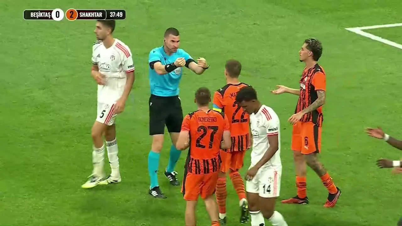zaslepka skrotu video