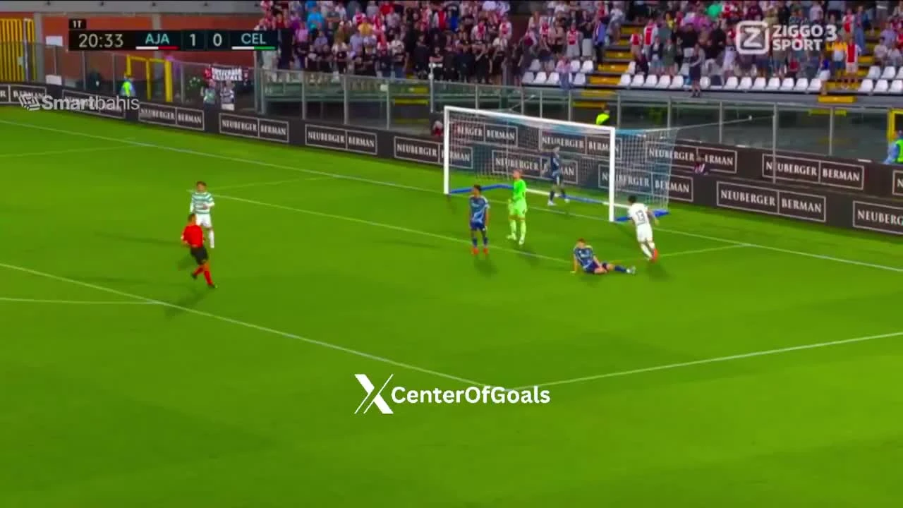 zaslepka skrotu video