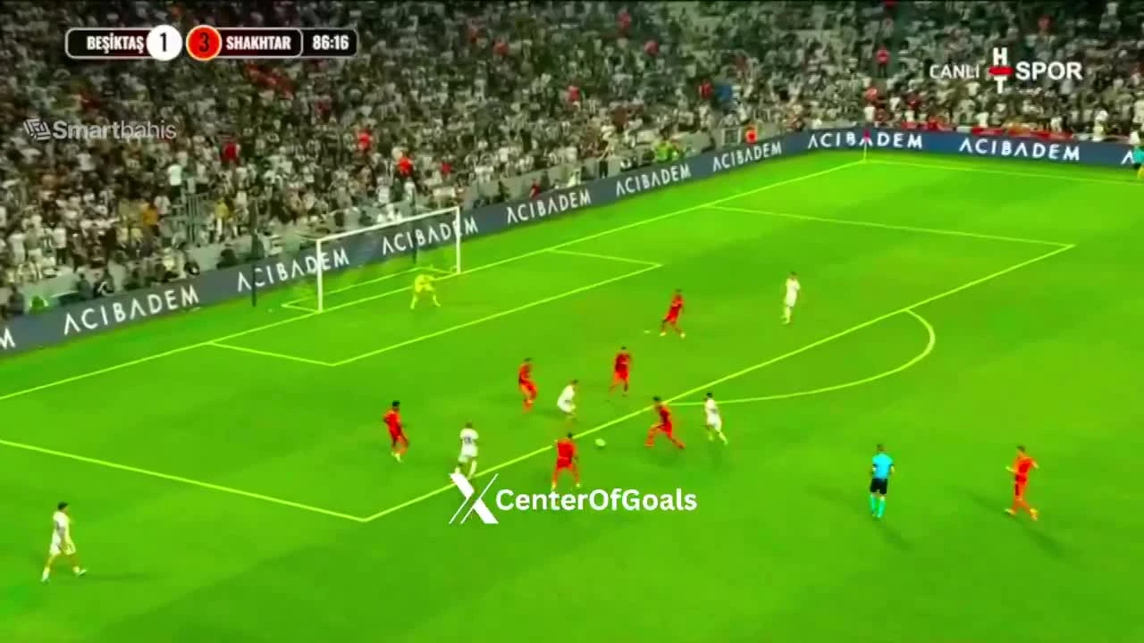 zaslepka skrotu video