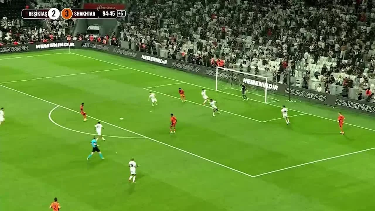 zaslepka skrotu video
