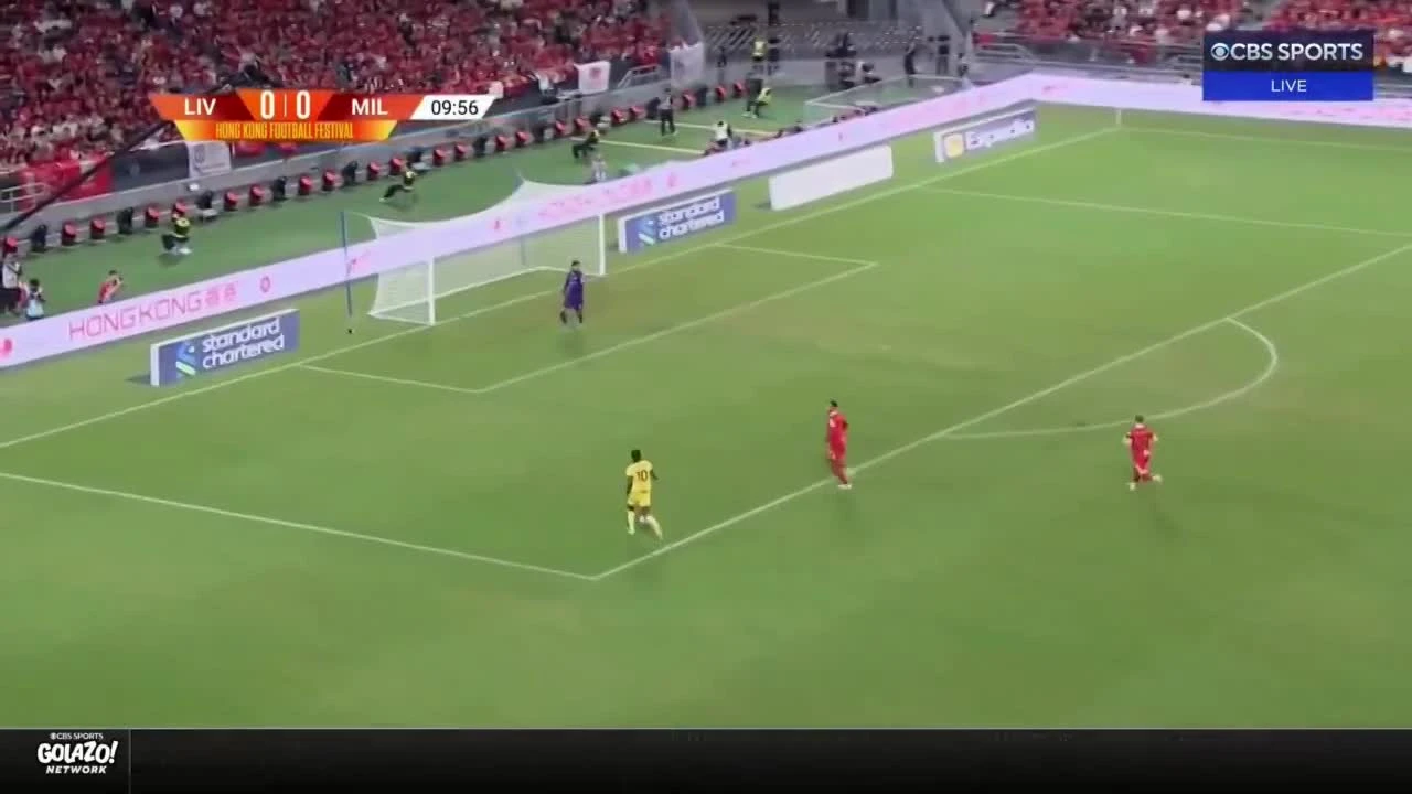 zaslepka skrotu video