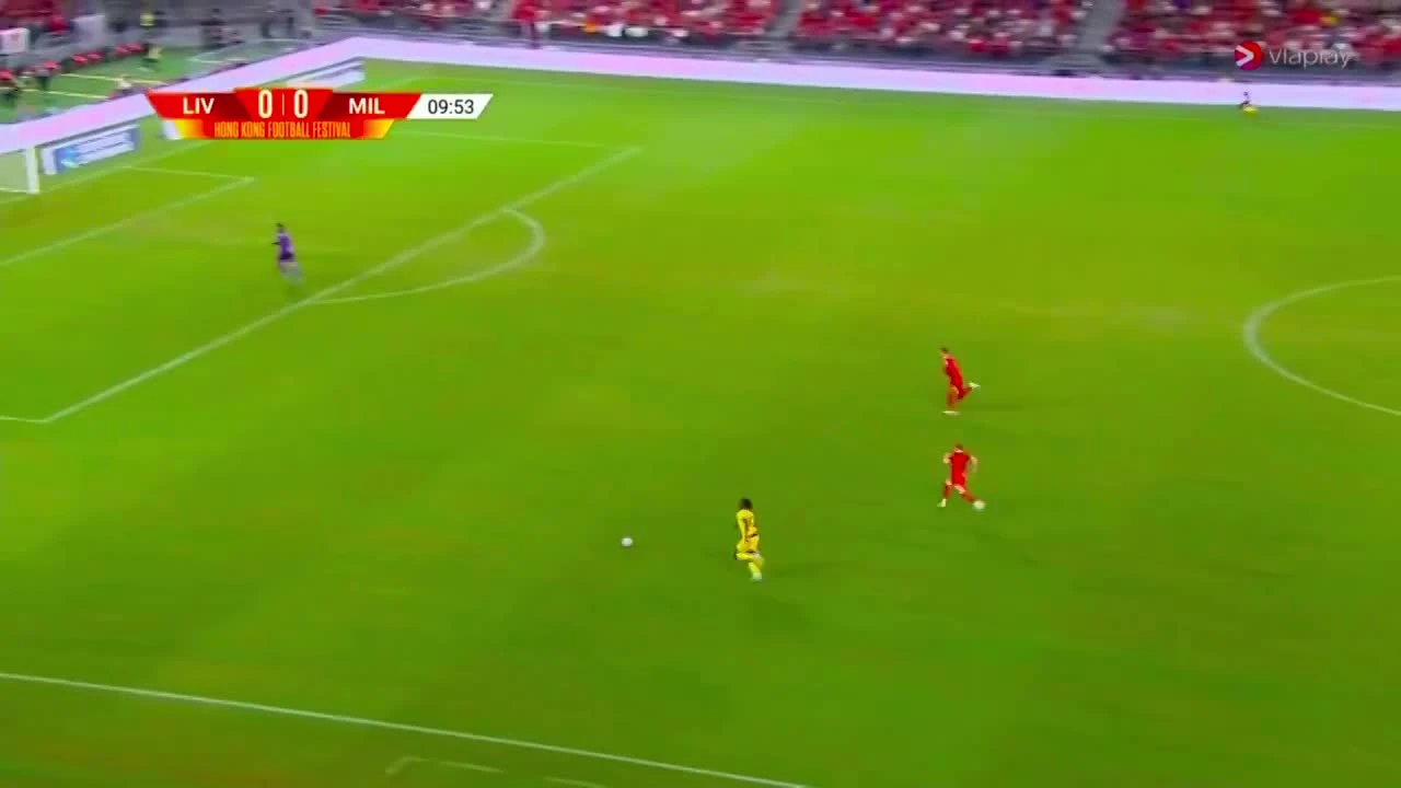 zaslepka skrotu video