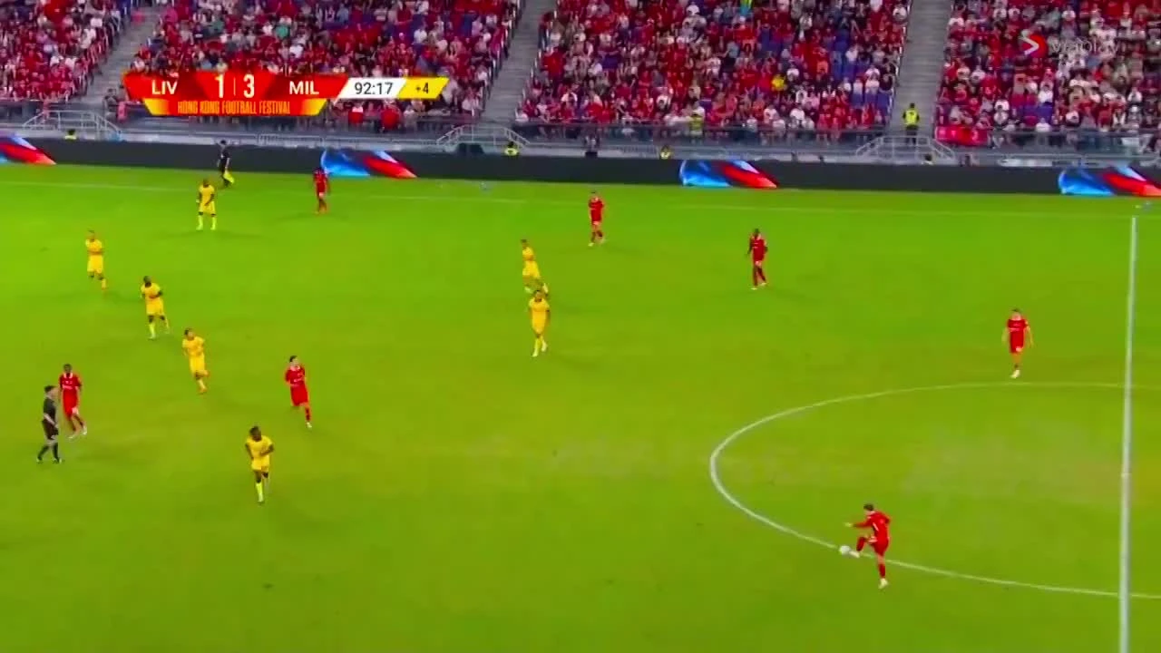 zaslepka skrotu video