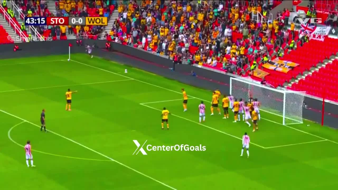 zaslepka skrotu video
