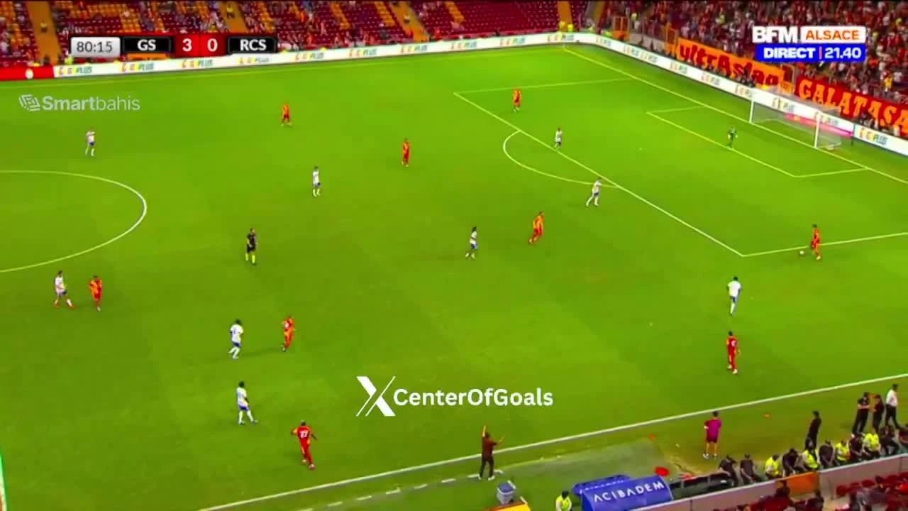 zaslepka skrotu video
