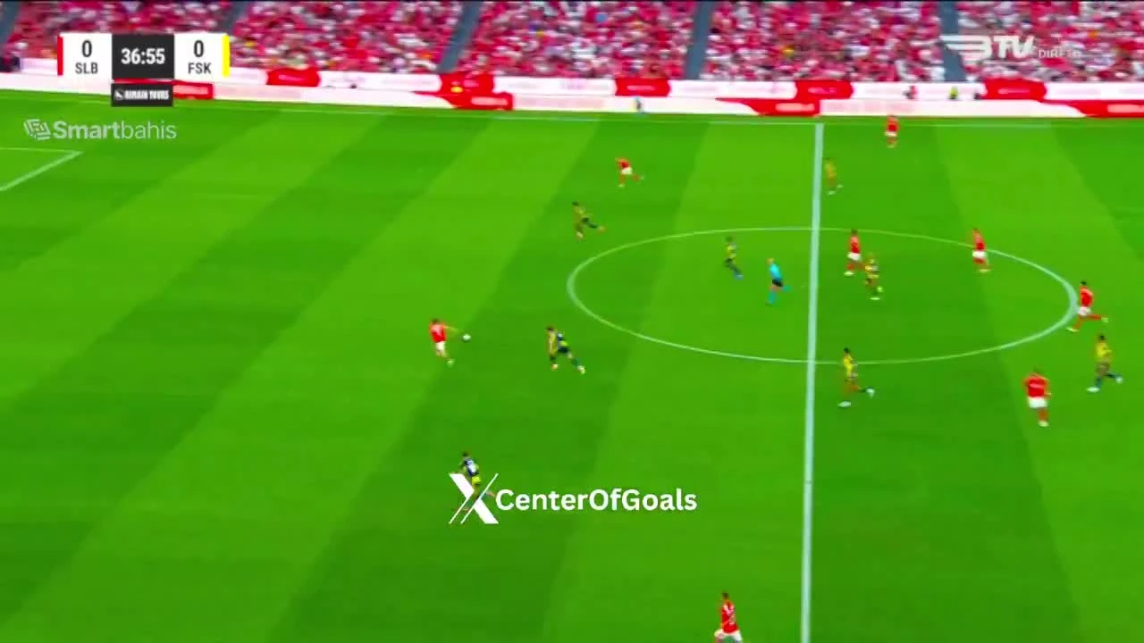zaslepka skrotu video