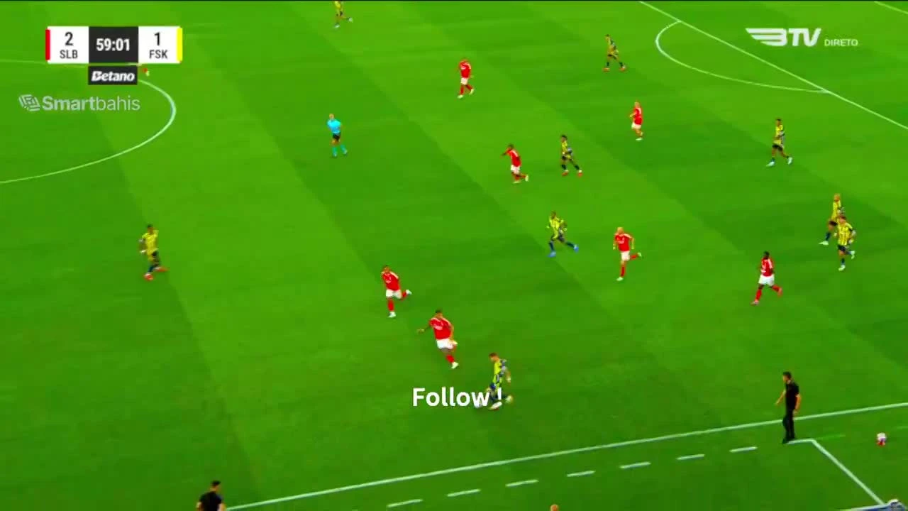 zaslepka skrotu video