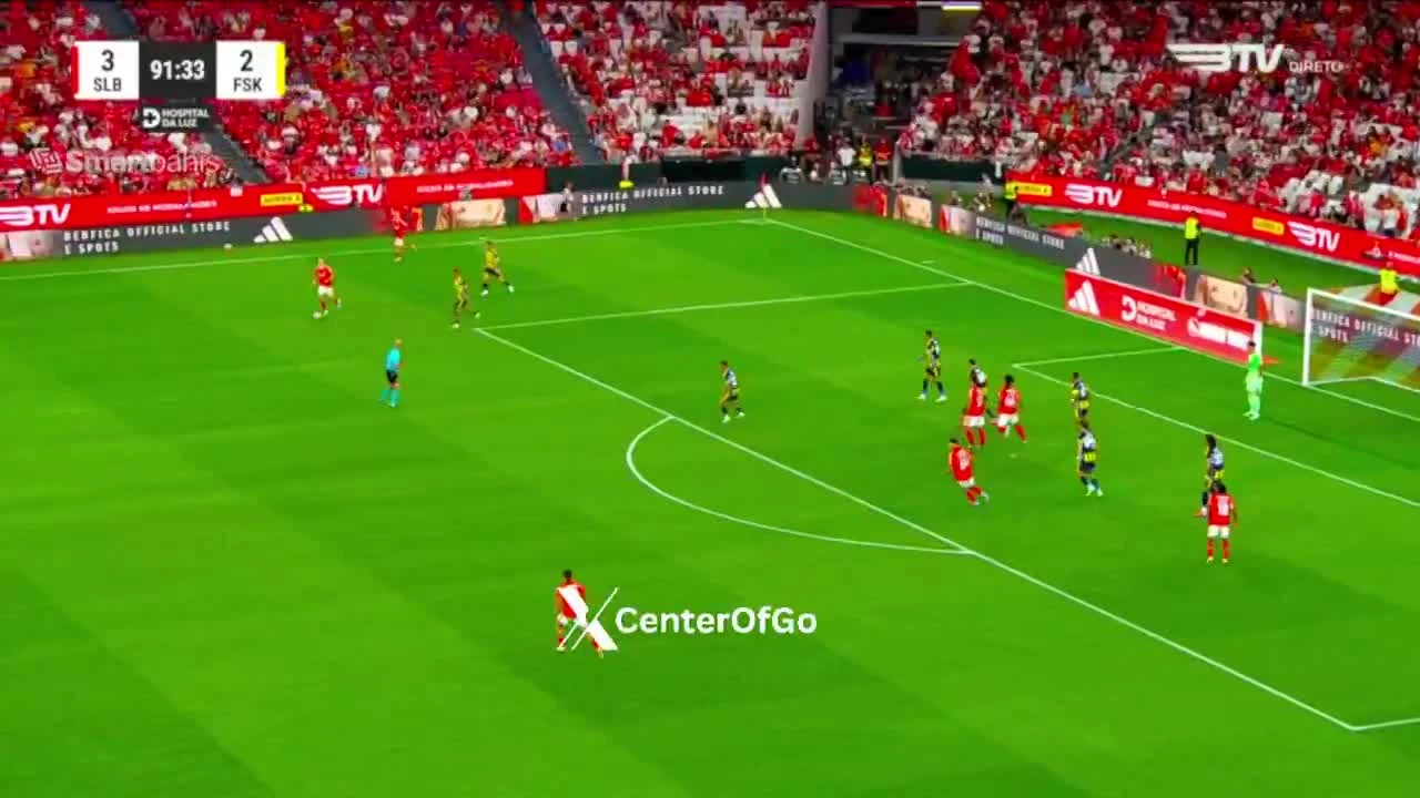 zaslepka skrotu video