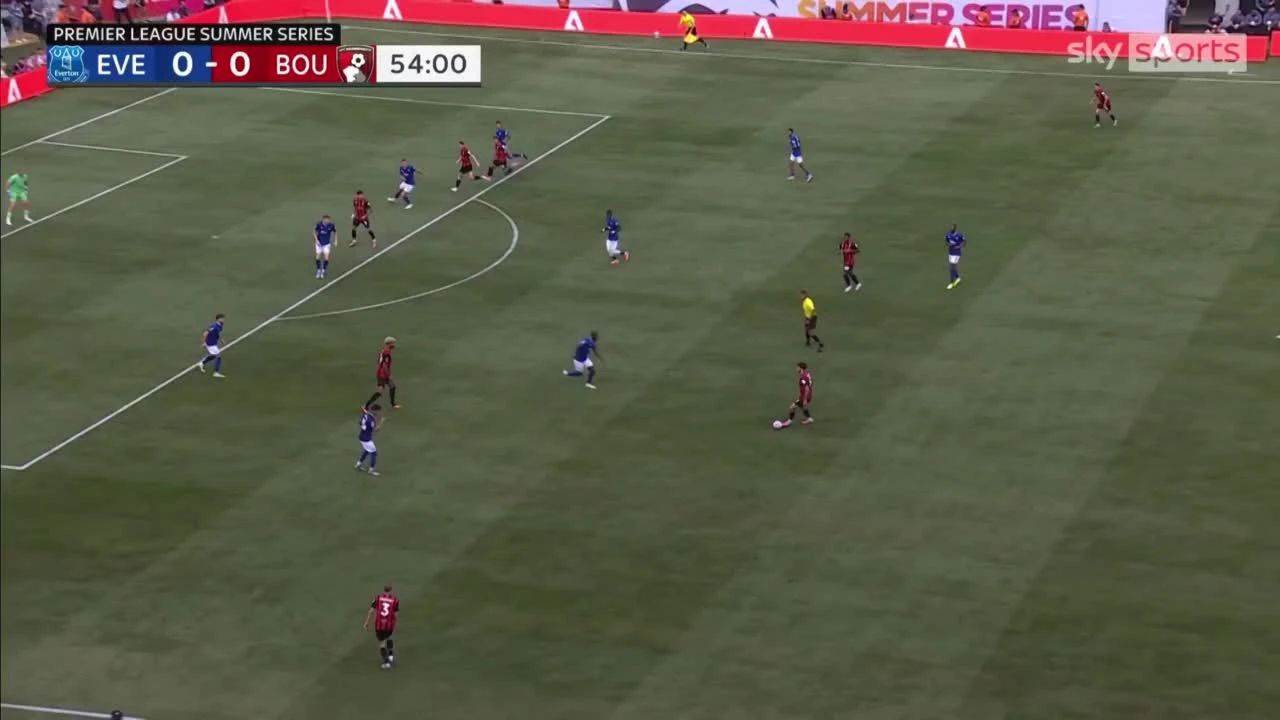 zaslepka skrotu video