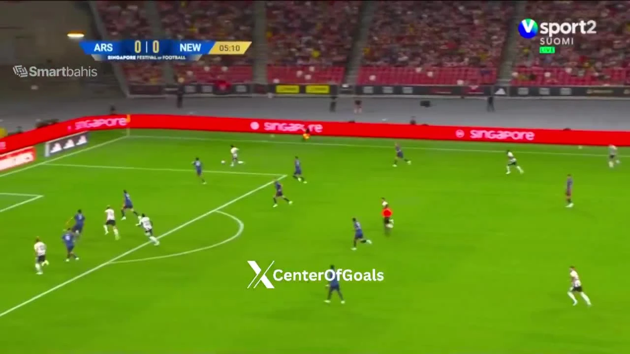 zaslepka skrotu video