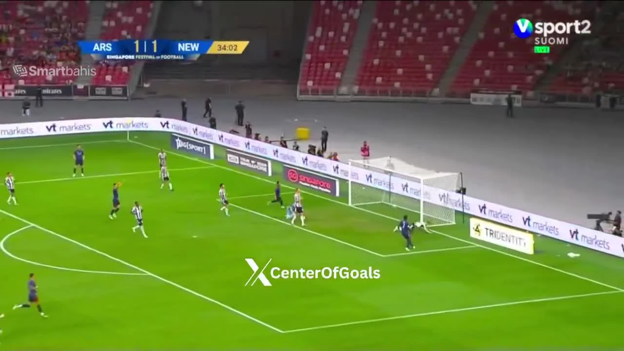 zaslepka skrotu video