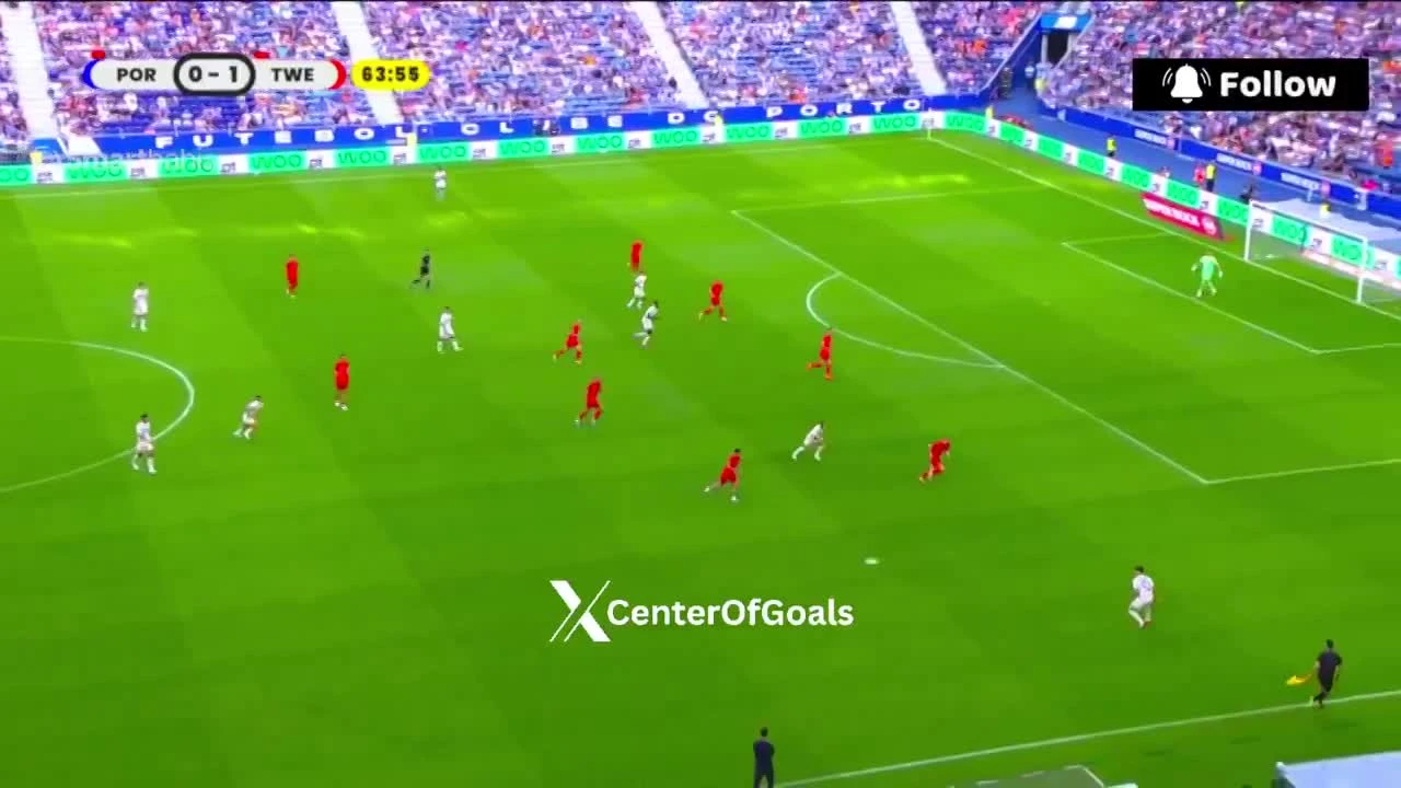 zaslepka skrotu video