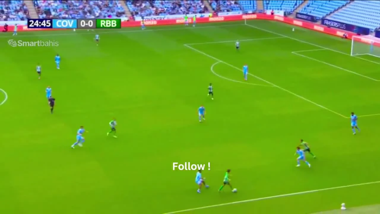 zaslepka skrotu video