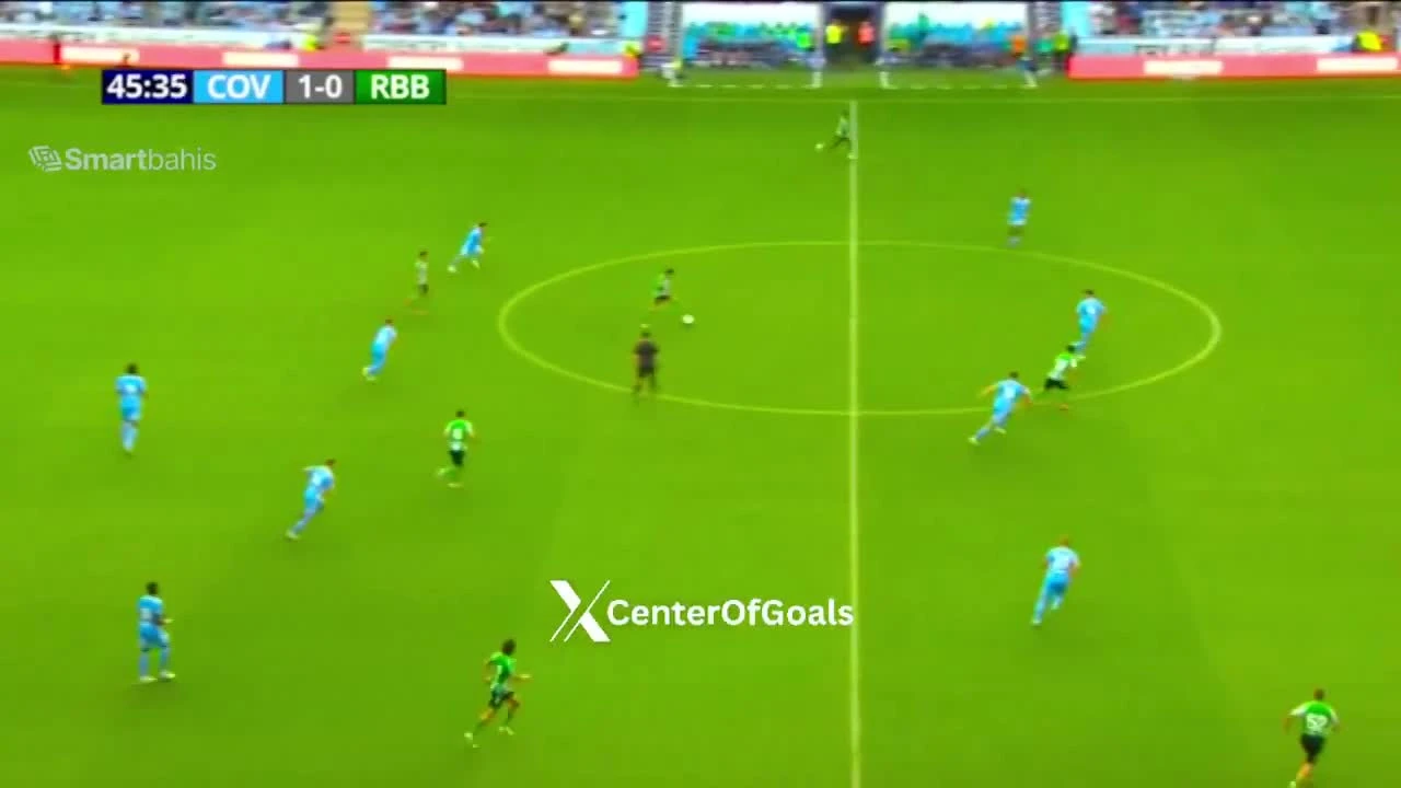 zaslepka skrotu video