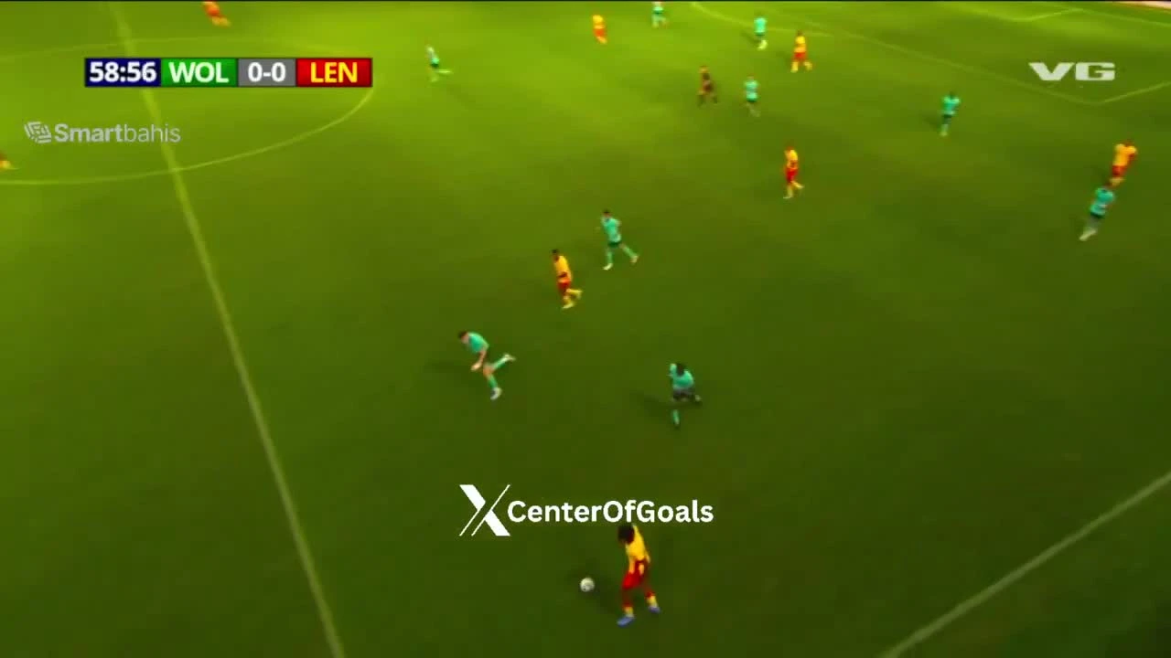 zaslepka skrotu video