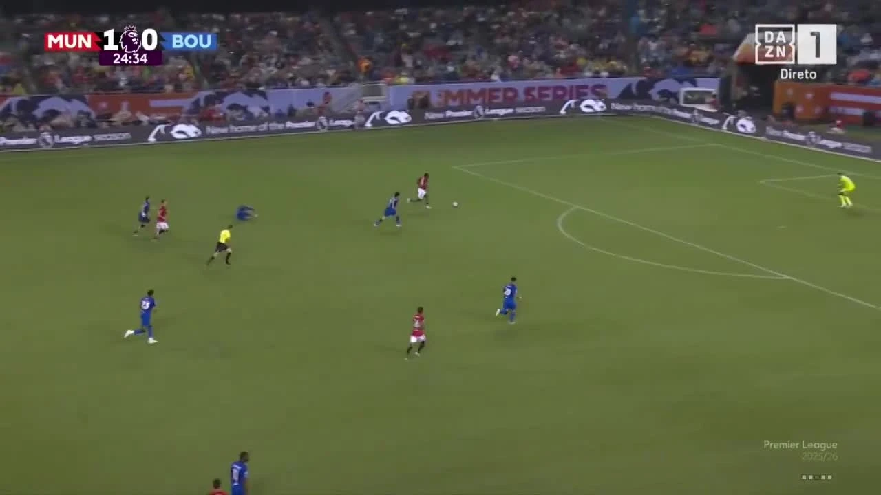 zaslepka skrotu video