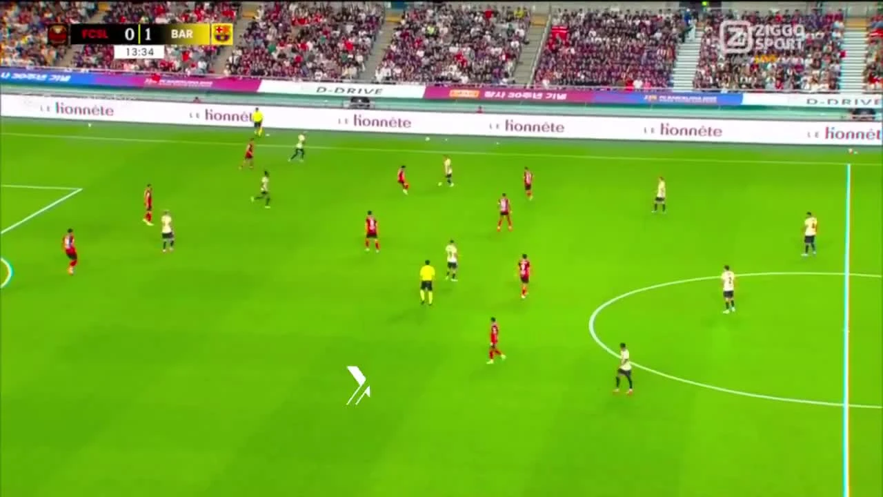 zaslepka skrotu video