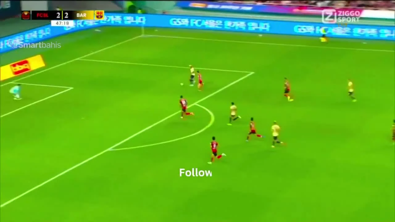 zaslepka skrotu video