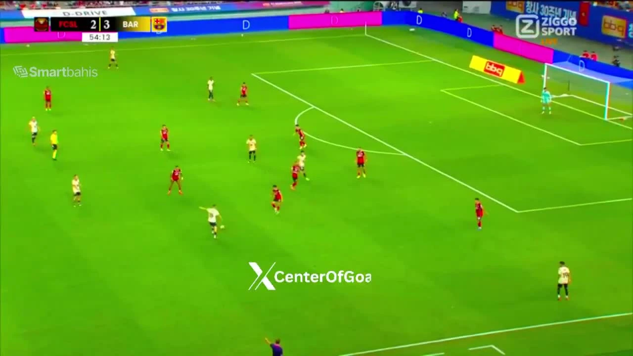 zaslepka skrotu video