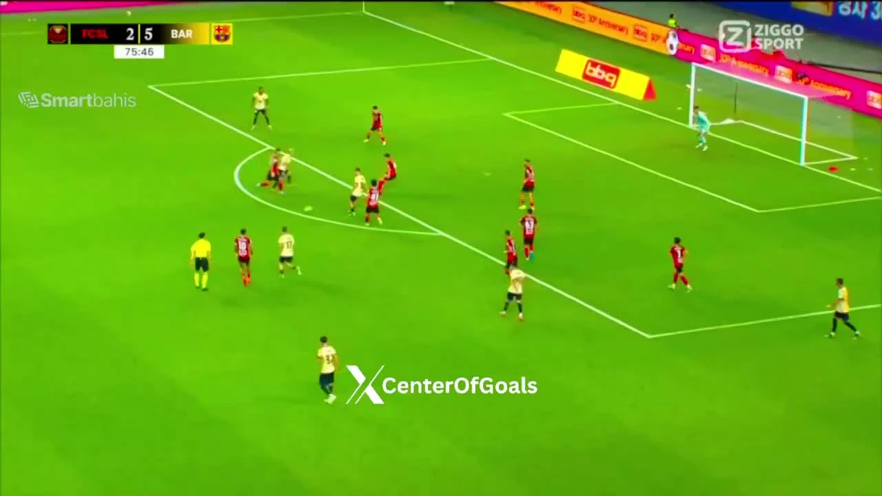 zaslepka skrotu video