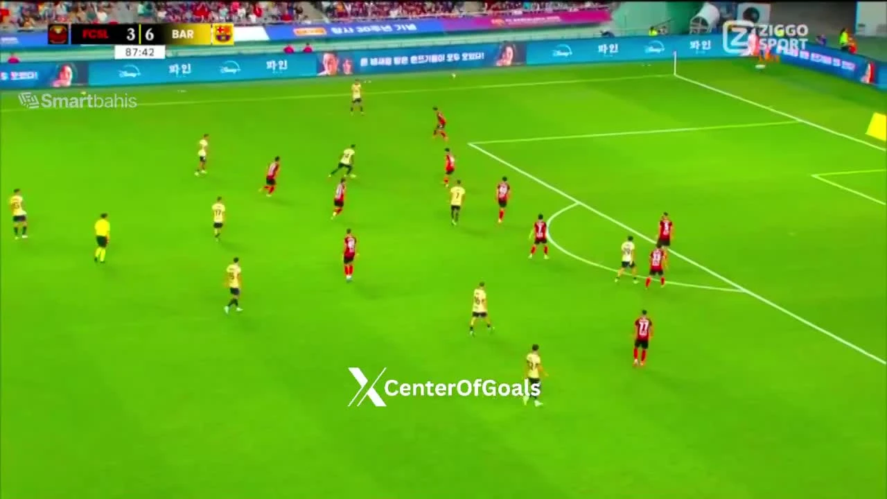 zaslepka skrotu video