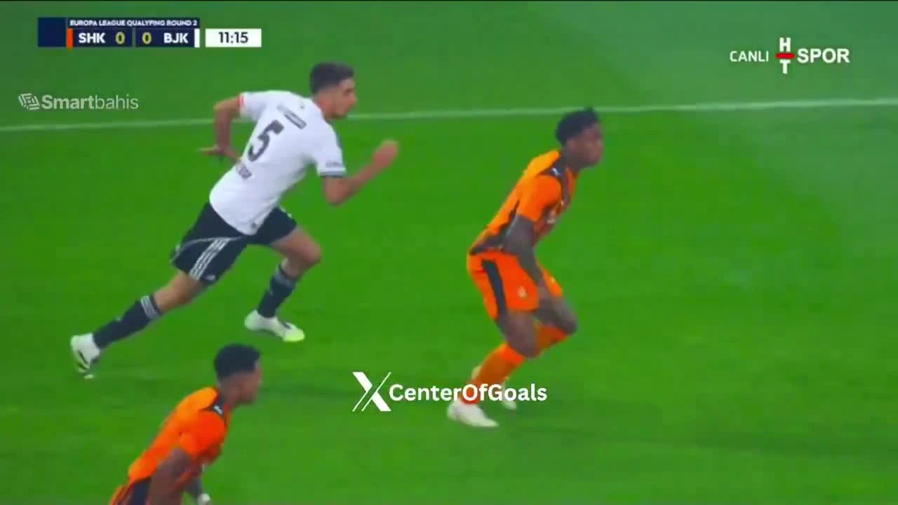 zaslepka skrotu video