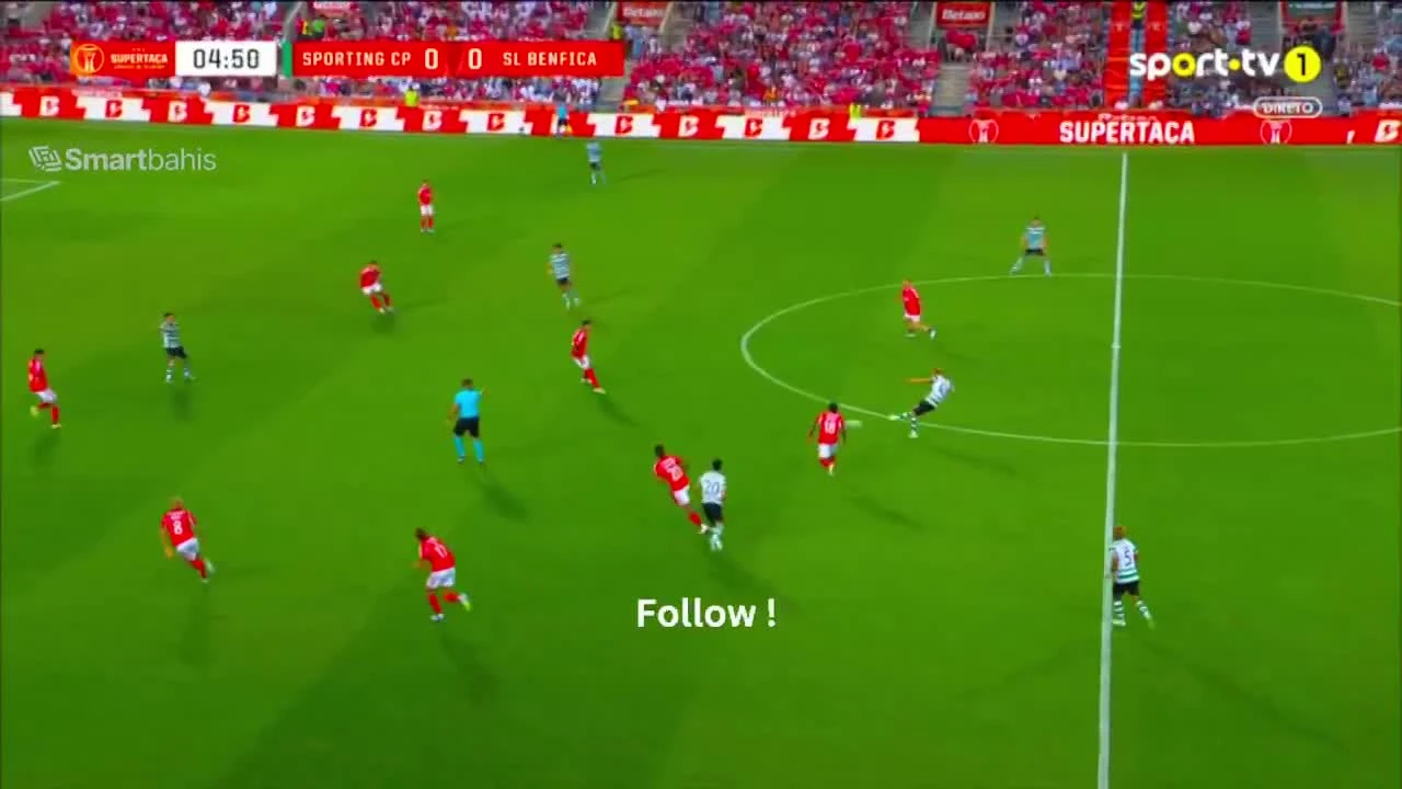 zaslepka skrotu video
