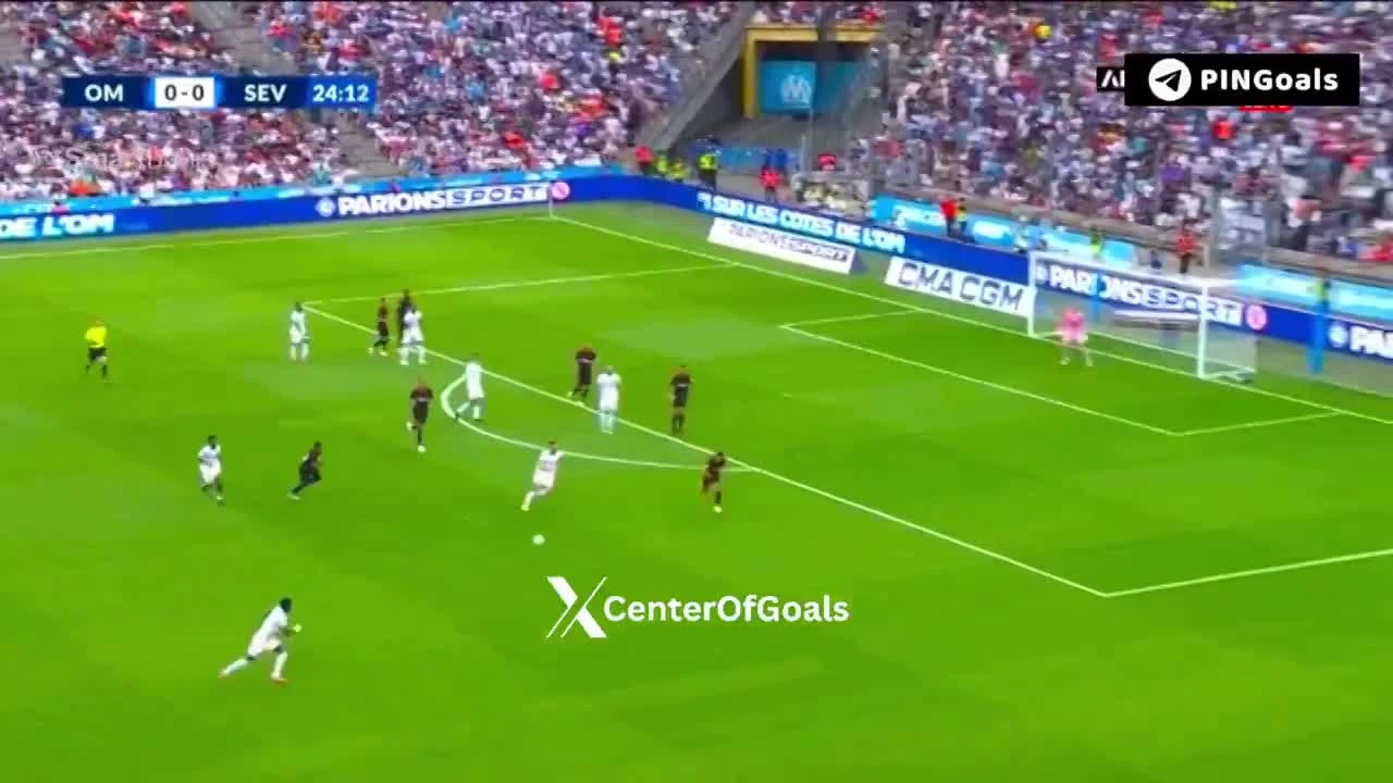 zaslepka skrotu video