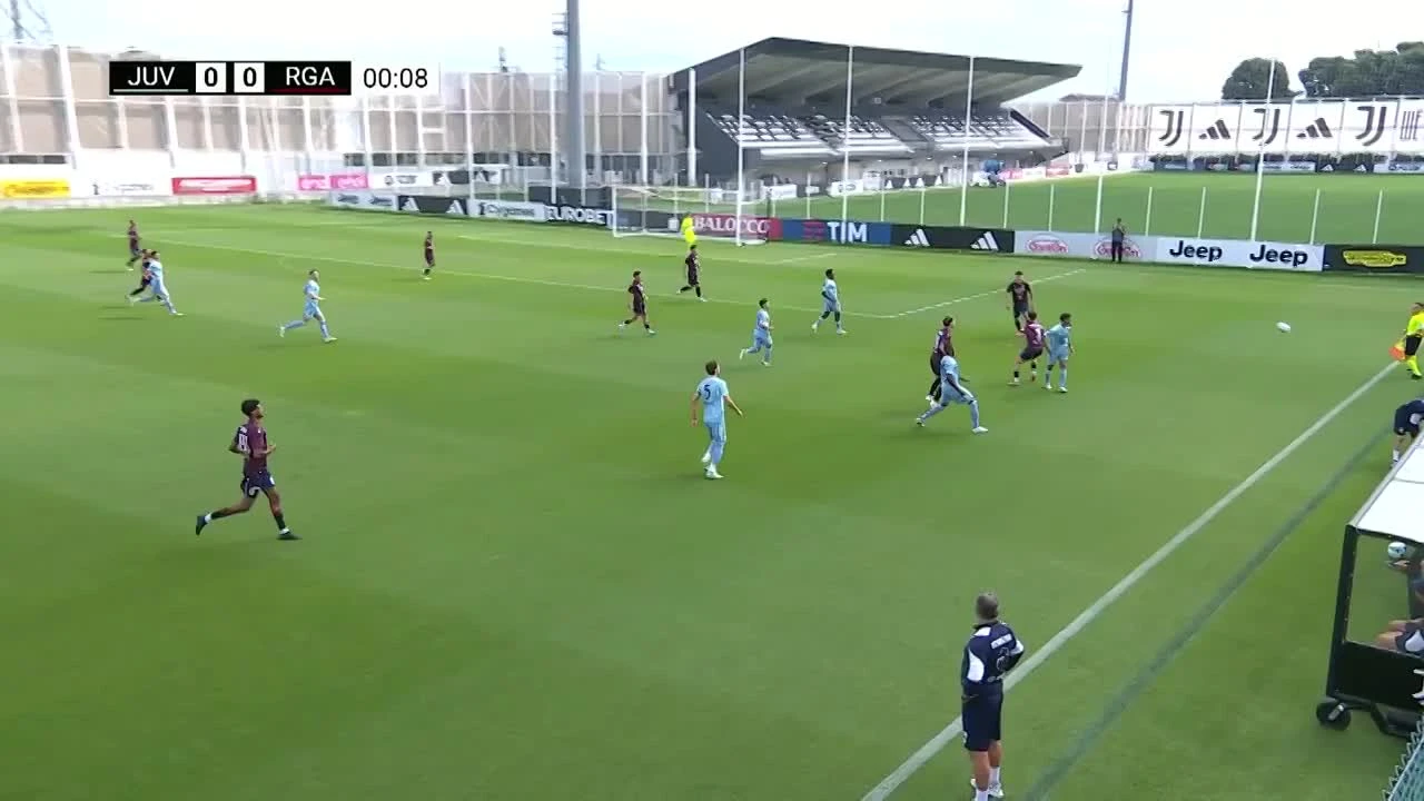 zaslepka skrotu video