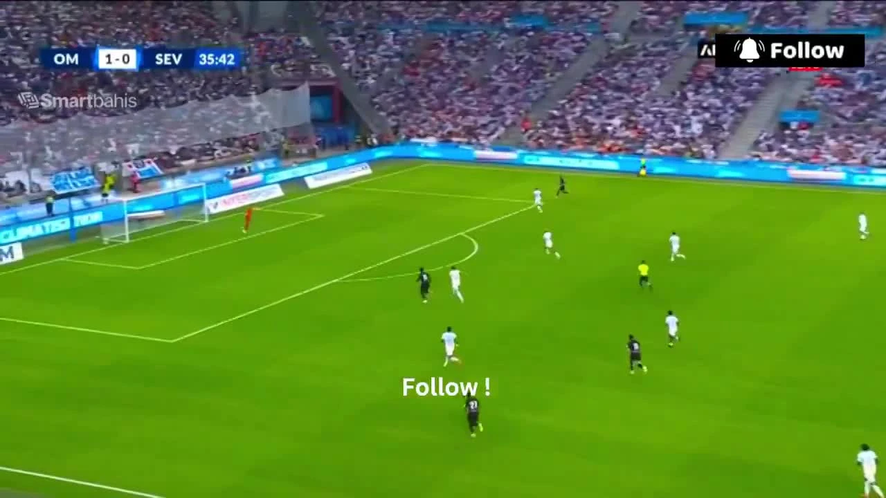 zaslepka skrotu video