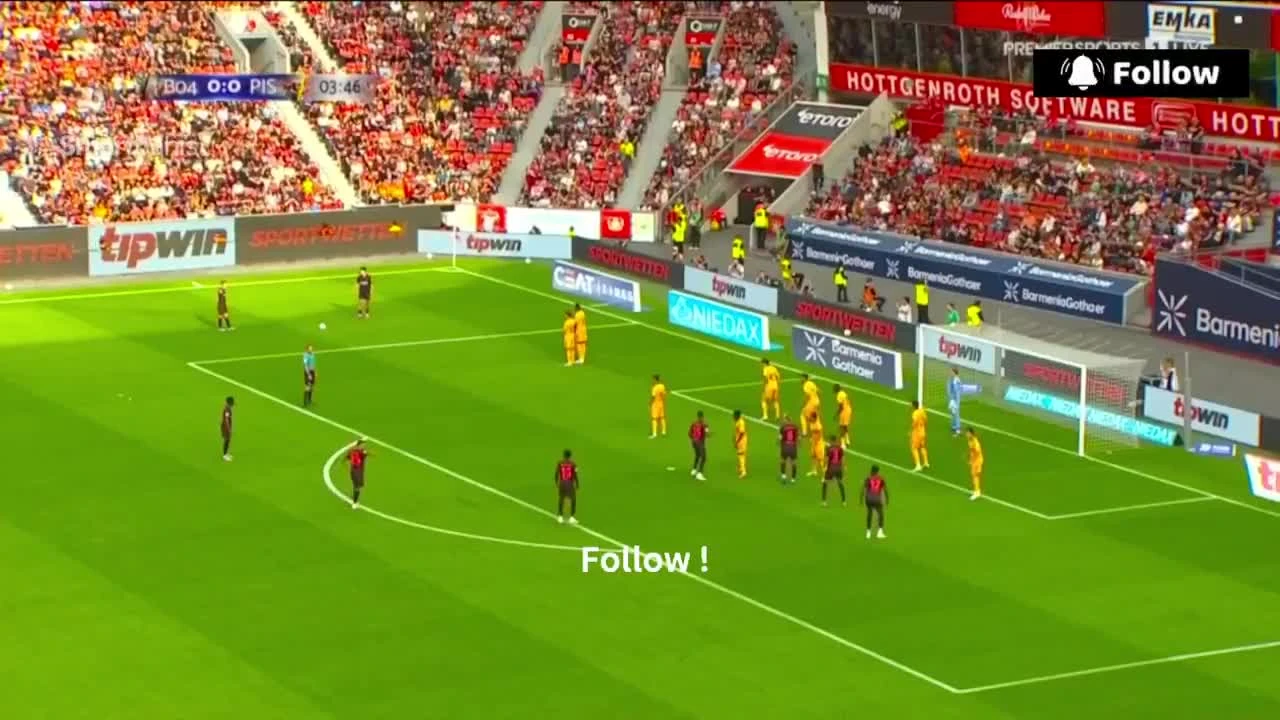 zaslepka skrotu video