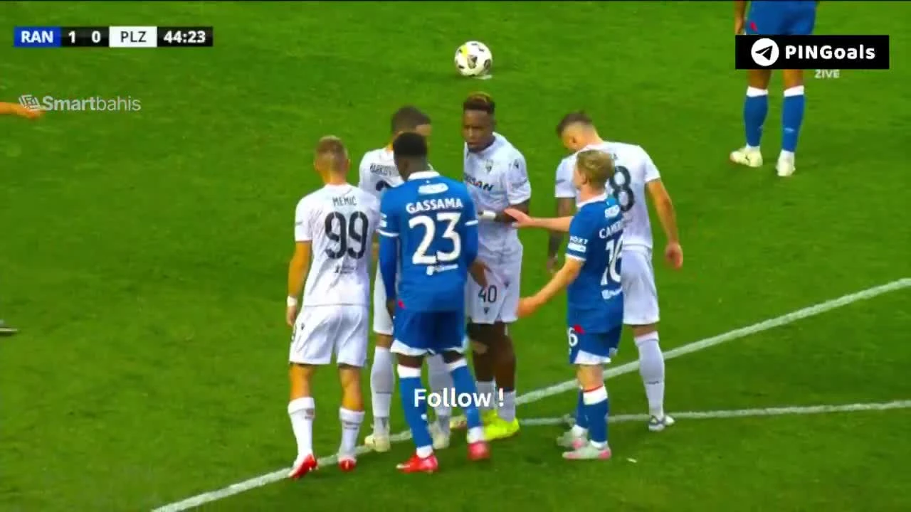 zaslepka skrotu video