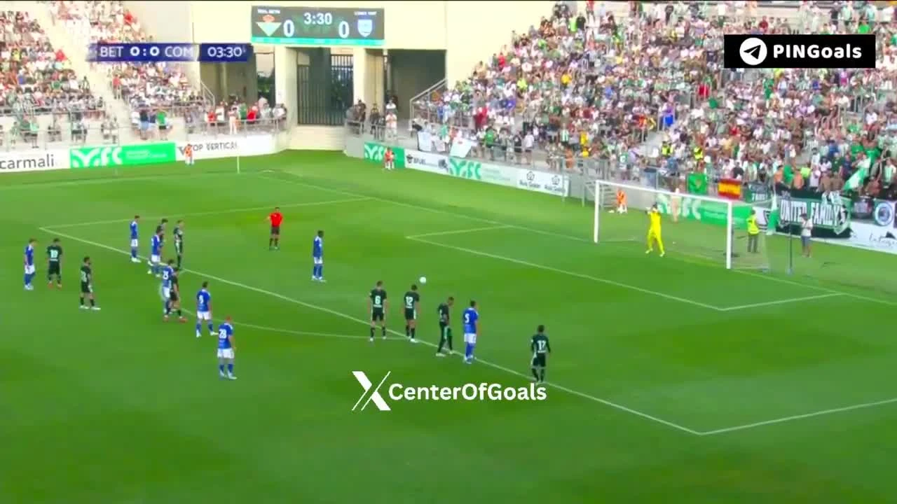 zaslepka skrotu video