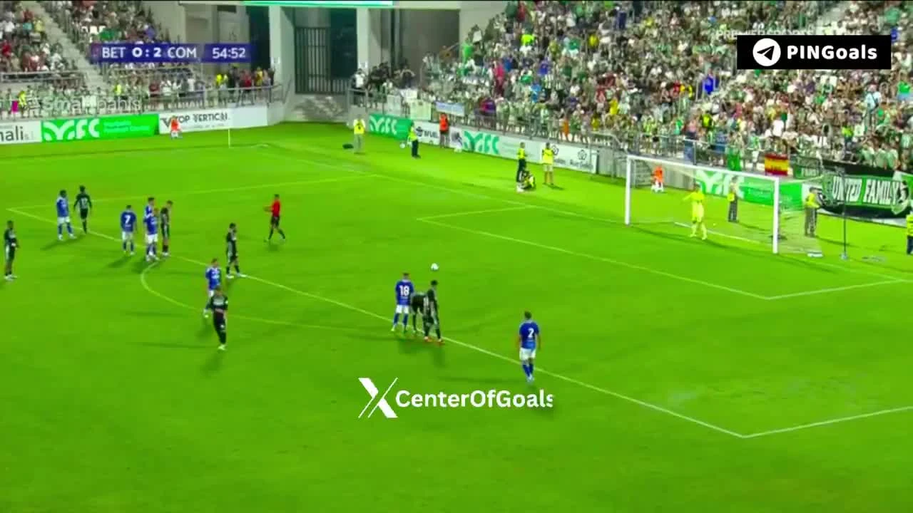 zaslepka skrotu video