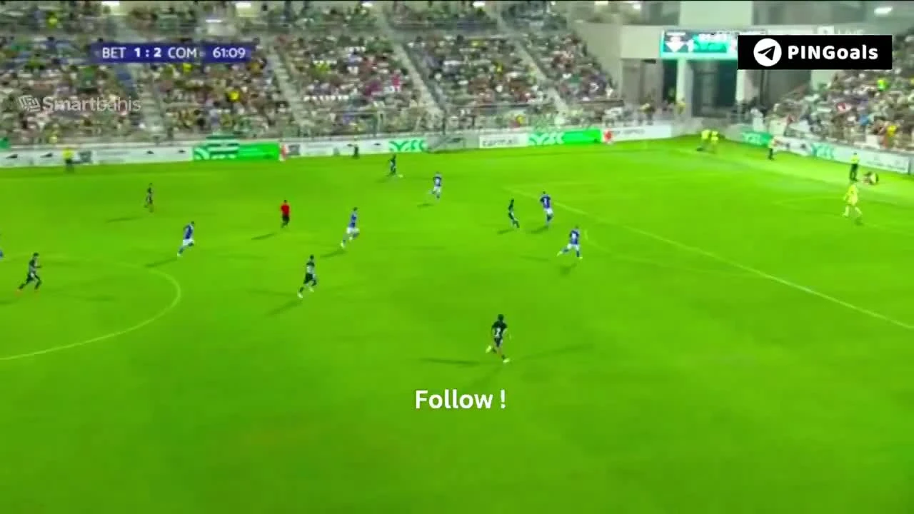 zaslepka skrotu video